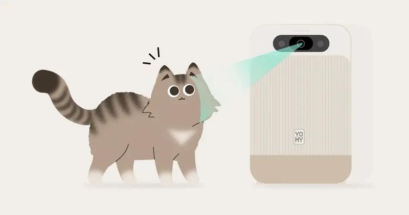 Cat scan Yomy