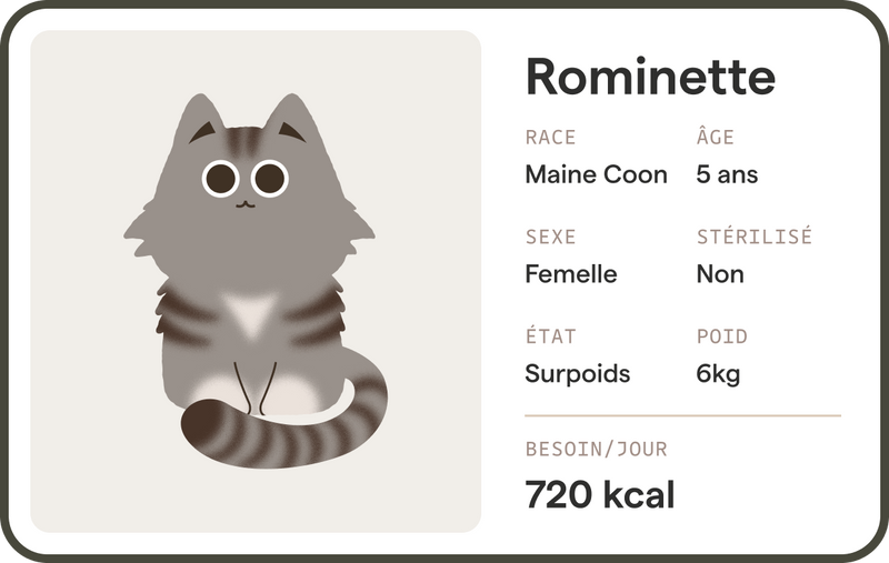 Yomy chat profile 2