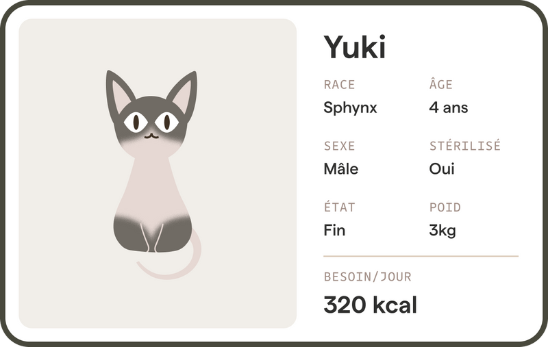 Yomy chat profile 1