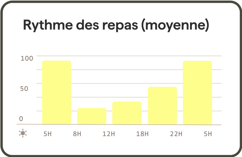 Rythme des repas app Yomy