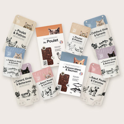 Packs découverte