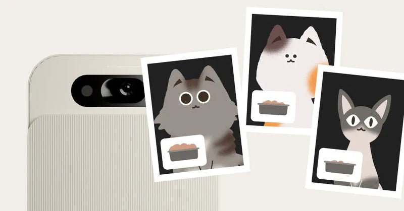 Profils de chat et multichats Yomy