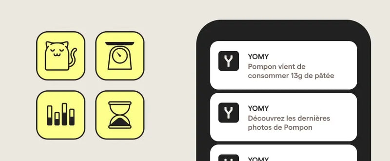 Application mobile Yomy