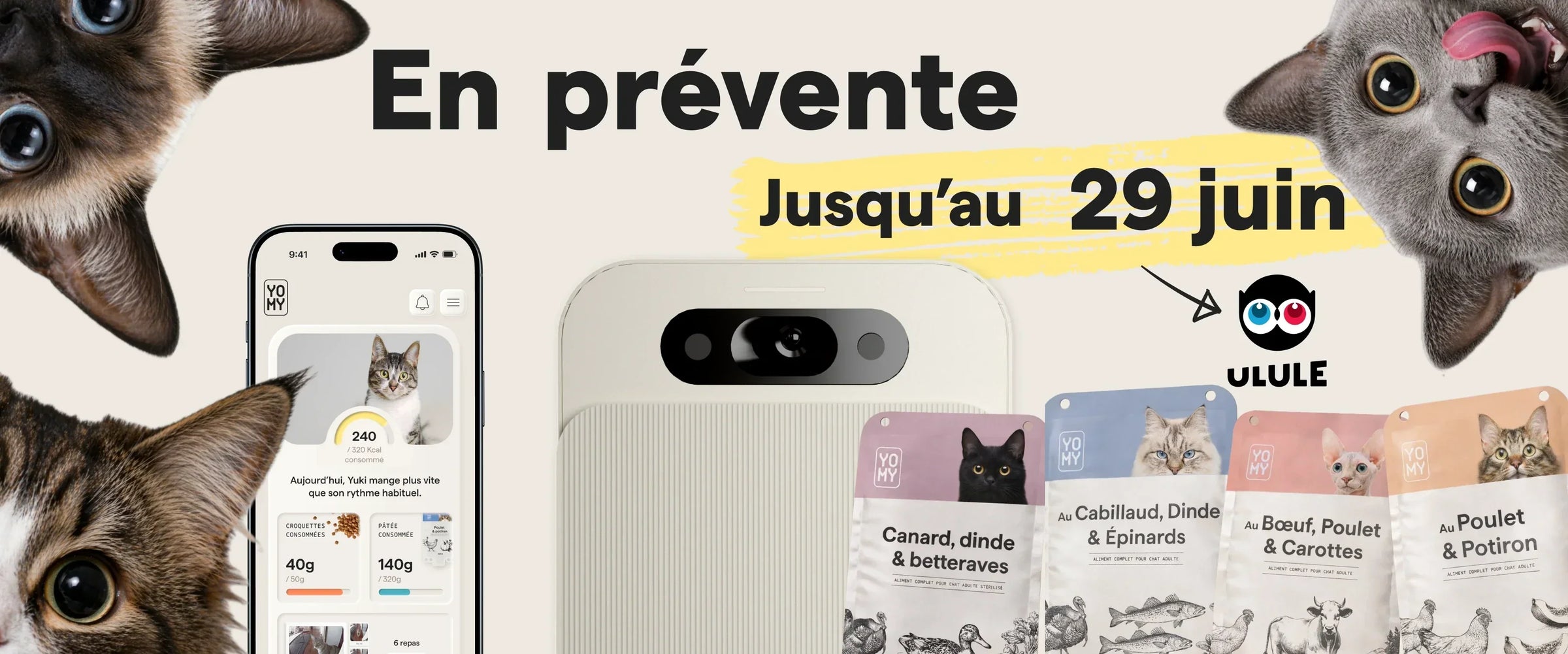 Alimentation naturelle pour chat : Yomy arrive sur Ulule après 6 ans d'aventure