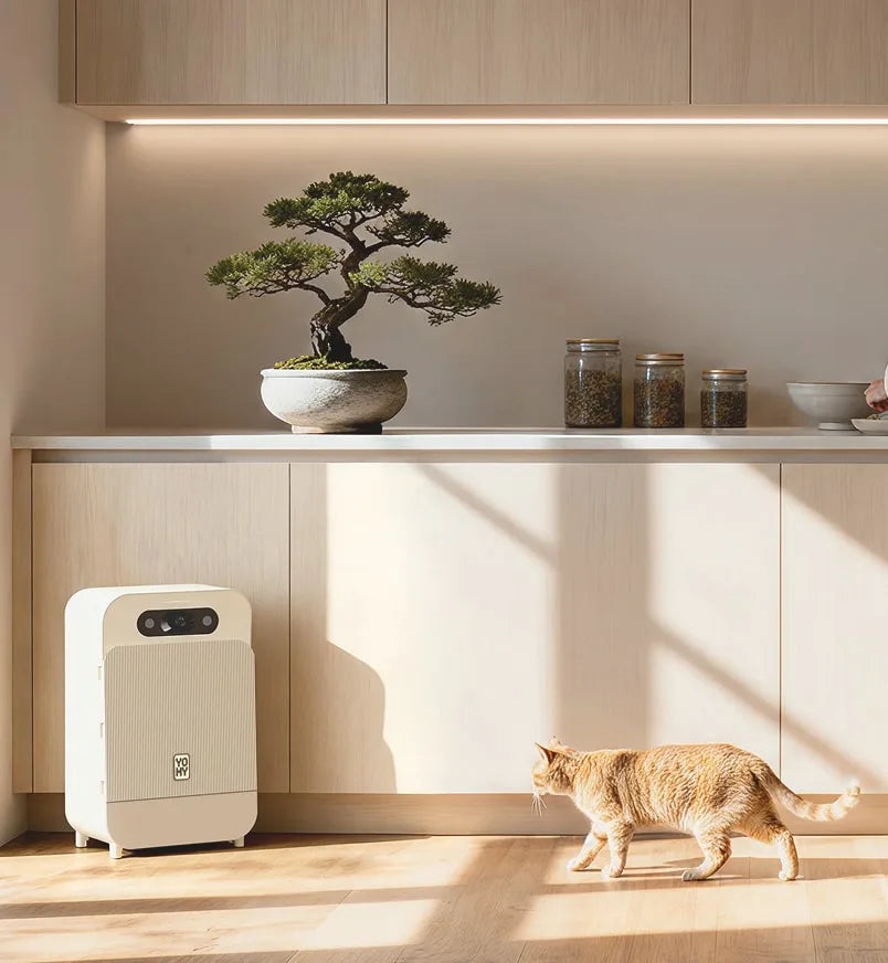 Distributeur intelligent Yomy