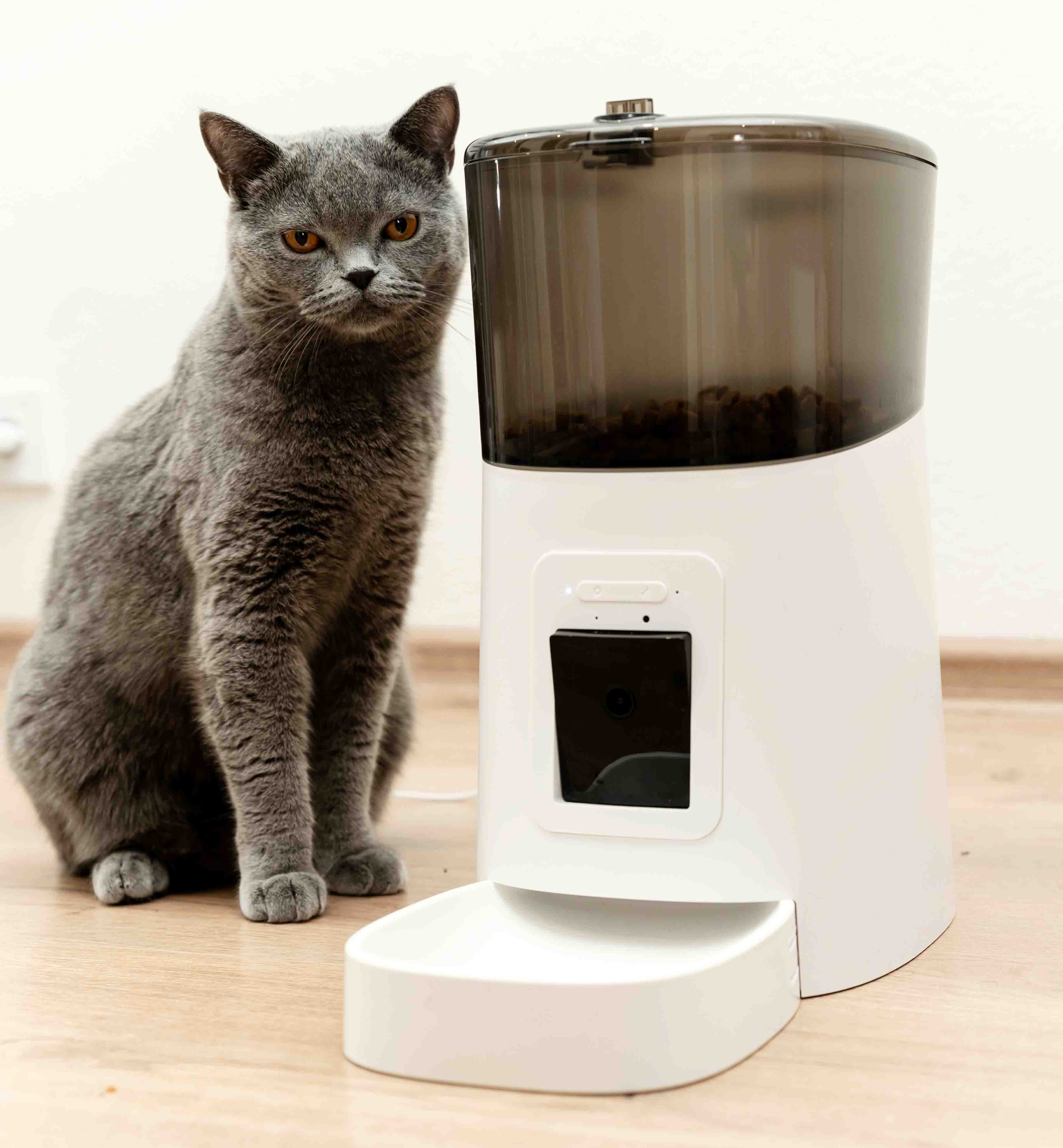 Maquereaux & épinards