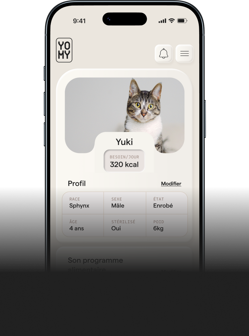 Yomy - Le robot qui envoie de la pâtée - pour chat - – yomy.care