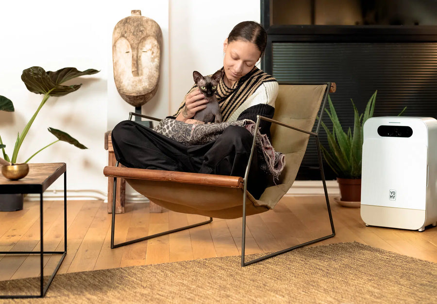 Distribuer en tranquilité