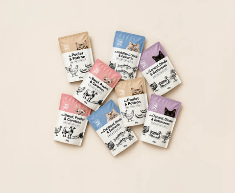 Pack Découverte - 2x4 recettes - 85g