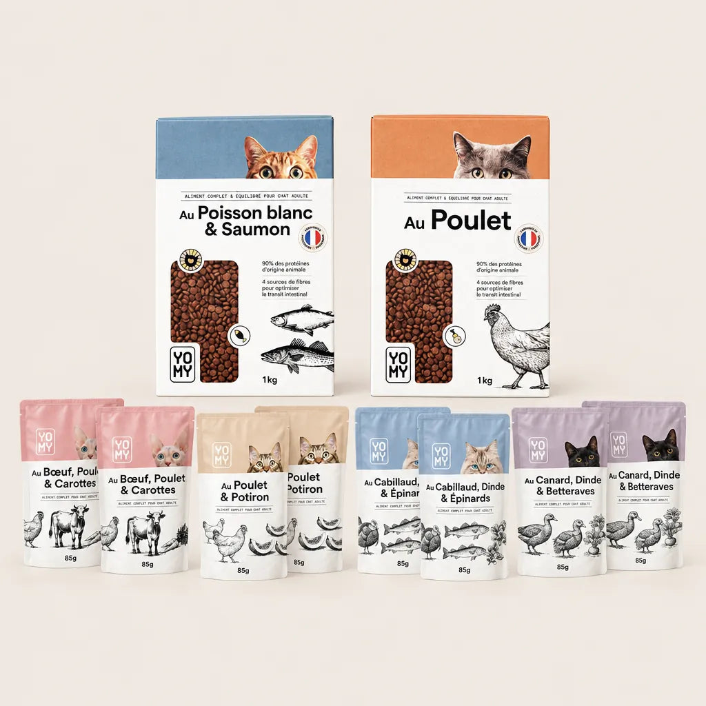Pack Menu Complet
