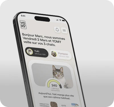 App Yomy