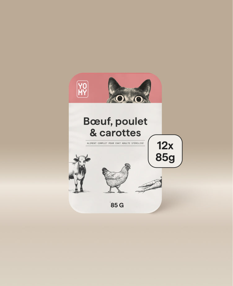 Boeuf, poulet & carottes