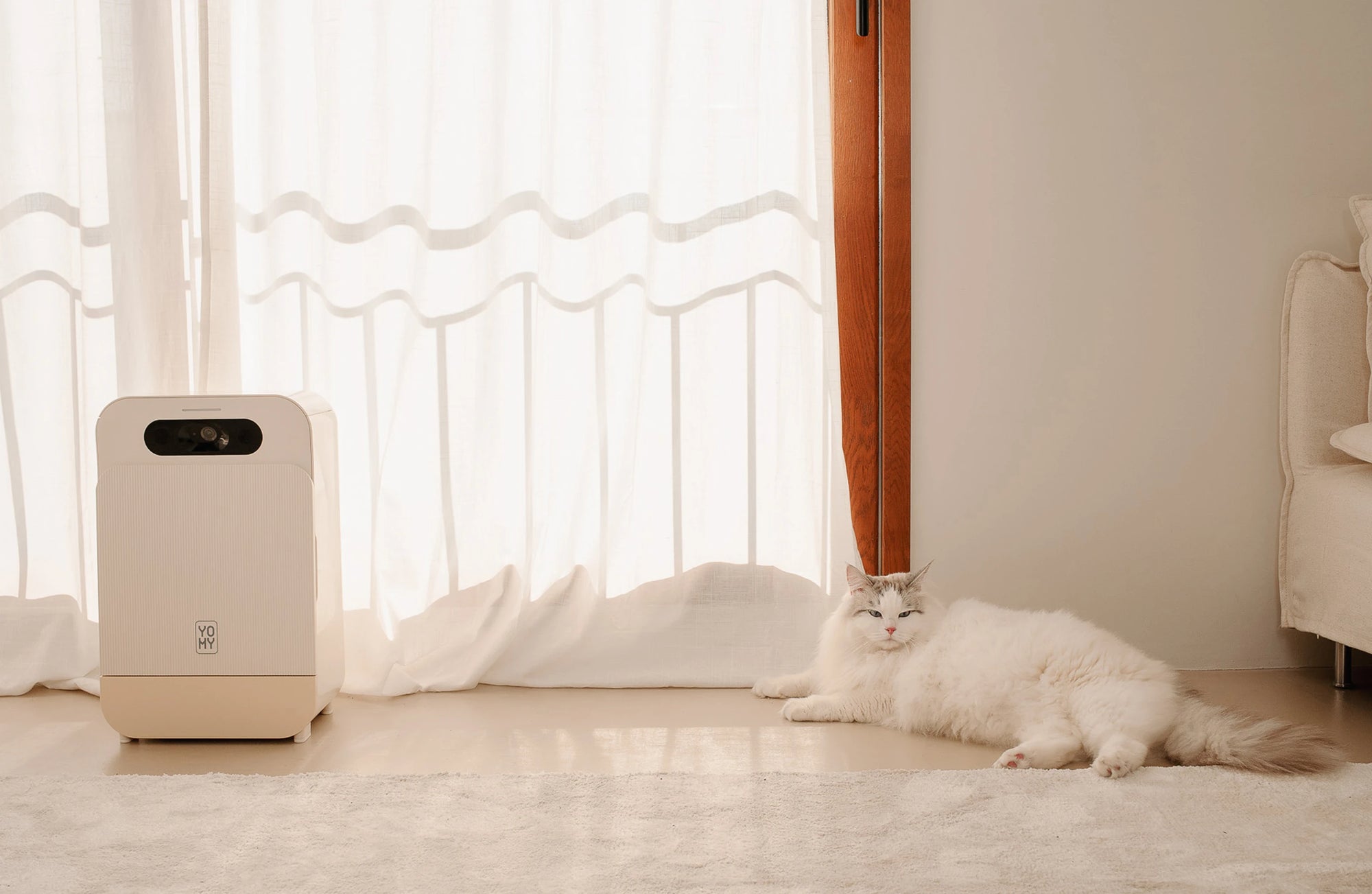 Chat blanc à poils longs reposant paisiblement au soleil à côté de son distributeur de pâtée Yomy au design minimaliste.