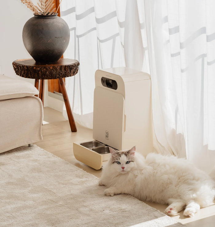 Chat blanc à poils longs allongé à côté du robot YOMY dans un salon lumineux
