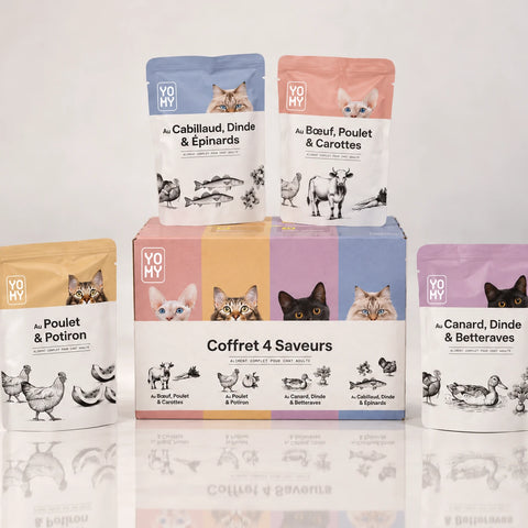 Pack Menu découverte pâtée pour chat – 12 sachets, 4 saveurs