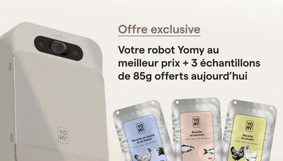 Offre Yomy robot pre-commande