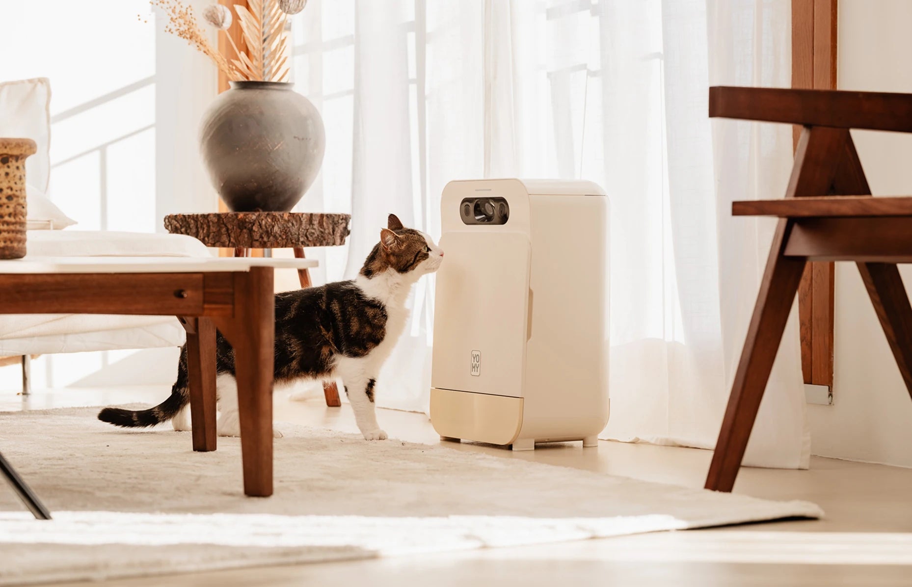 Chat devant distributeur automatique Yomy, parfaitement intégré au design d'un salon lumineux.
