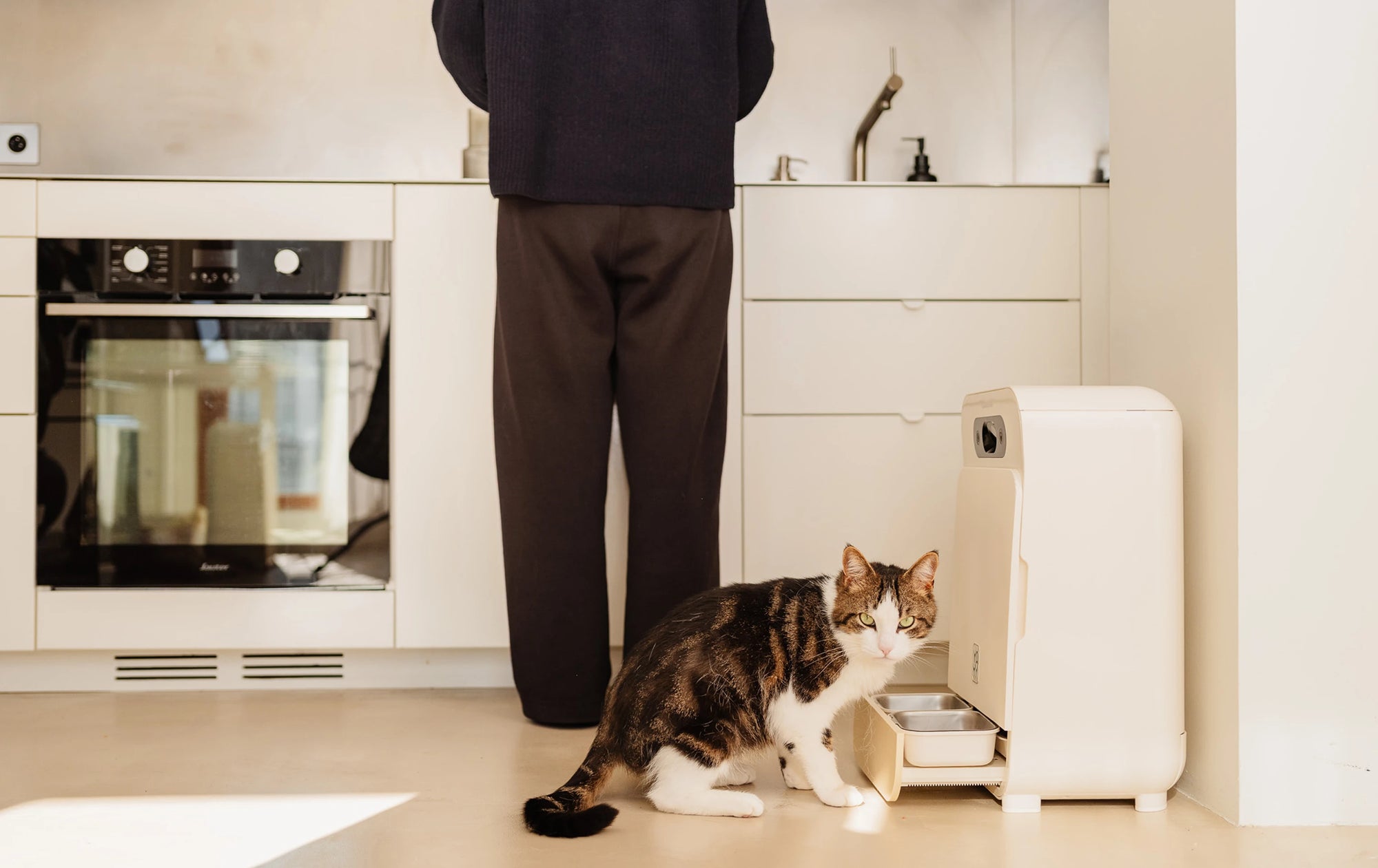 Chat utilisant son distributeur automatique Yomy dans une cuisine moderne, pendant que son propriétaire vaque à ses occupations en arrière-plan.
