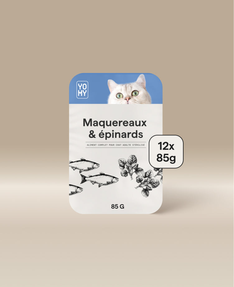 Maquereaux & épinards