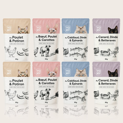 Pack Découverte - 2x4 recettes - 85g