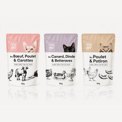 Pack découverte - 3 recettes 85g