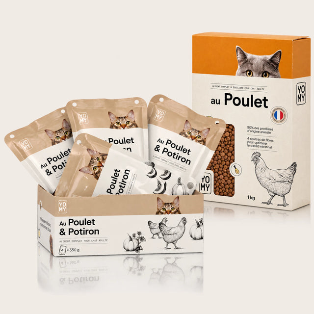 + Croquettes Poulet 1 kg