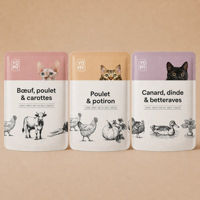 Pack découverte - 3 recettes 85g