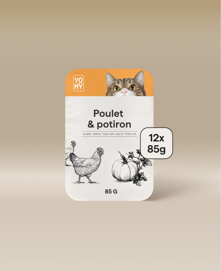 Poulet & Potiron