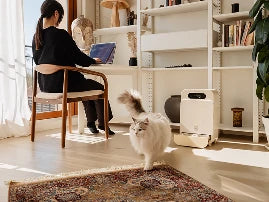 Yomy, le distributeur pâtée et croquettes