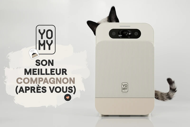 Yomy : la pâtée du chat réinventée