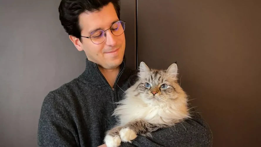 Pierre Caron met la pâtée aux chats