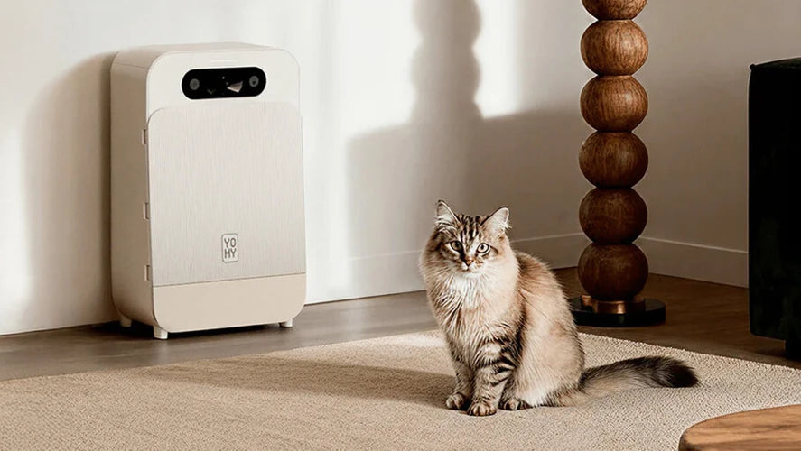 CES 2026 : Yomy veut révolutionner l’assiette de nos félins avec ce robot