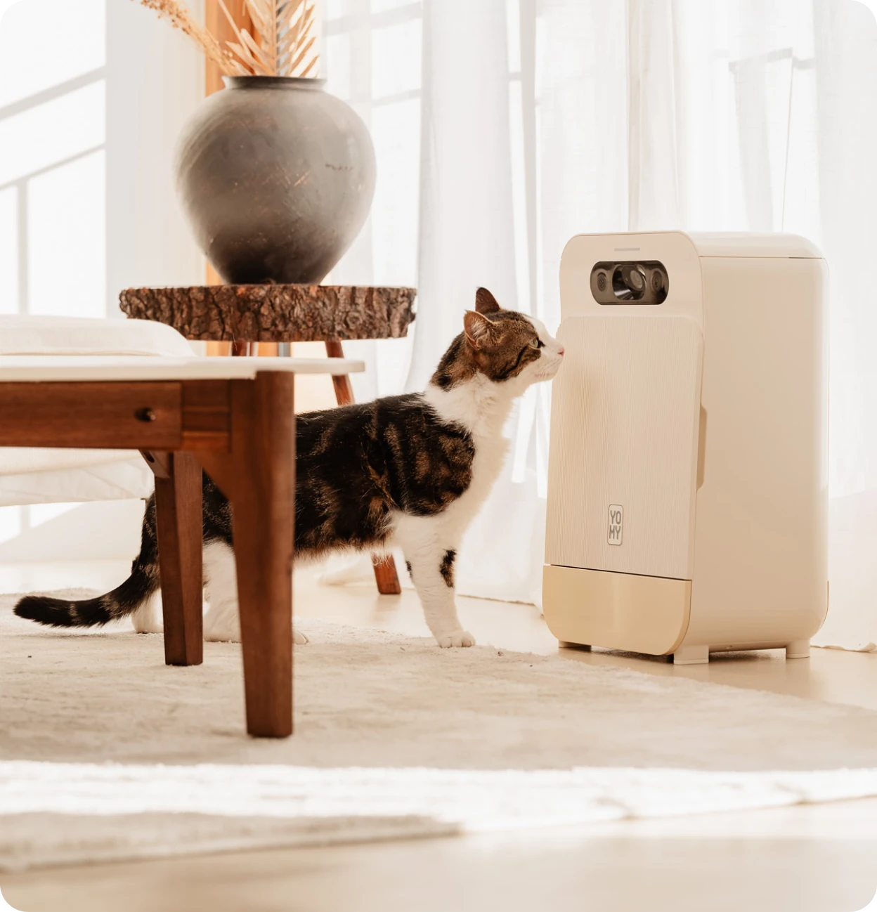 Distributeur intelligent Yomy