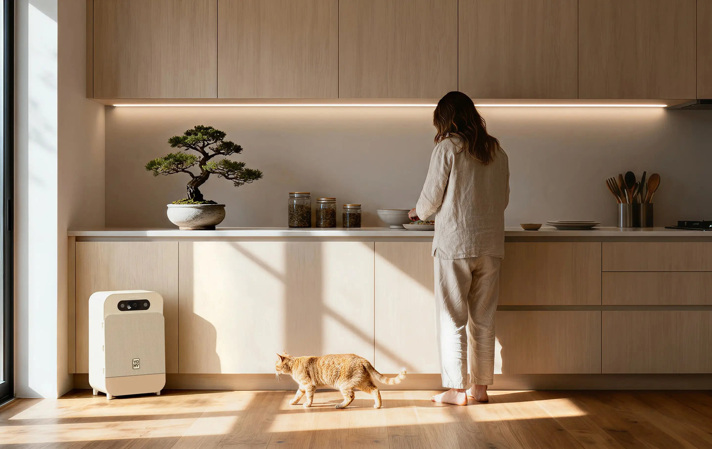 Chat et robot Yomy dans un salon lumineux en bois