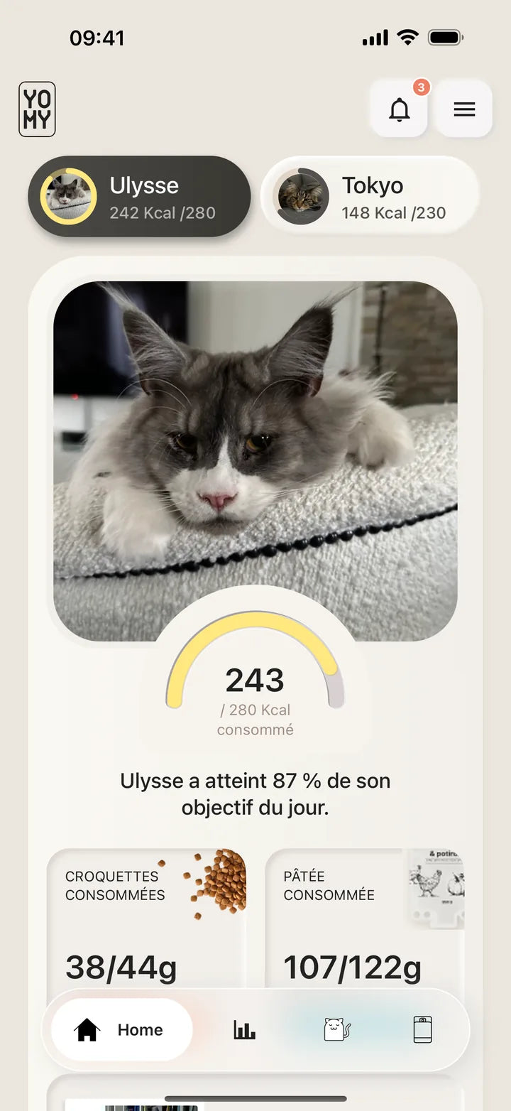 Accueil de l’app Yomy : la ration du jour d’Ulysse et sa photo